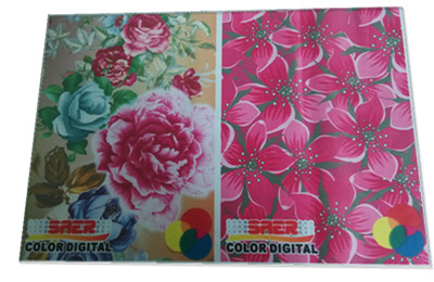 Advertising Dye Epson Head Printer For Digital Fabric Printing 1
