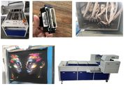 Digital Flatbed T Shirt Printing Machine With 8 Ricoh GH2220 Head 260kg Weight