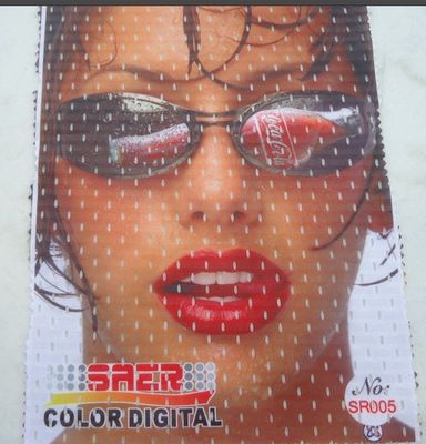 Large Format Printing Machine Singapore Flag Printer Machine Saer CSR 3200