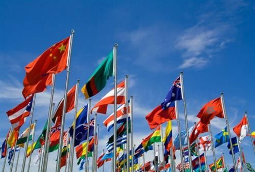 Warp Knitting Custom Printed Fabric 100% Polyester Material For Table Cover